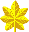 insignes 