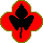 insignes 